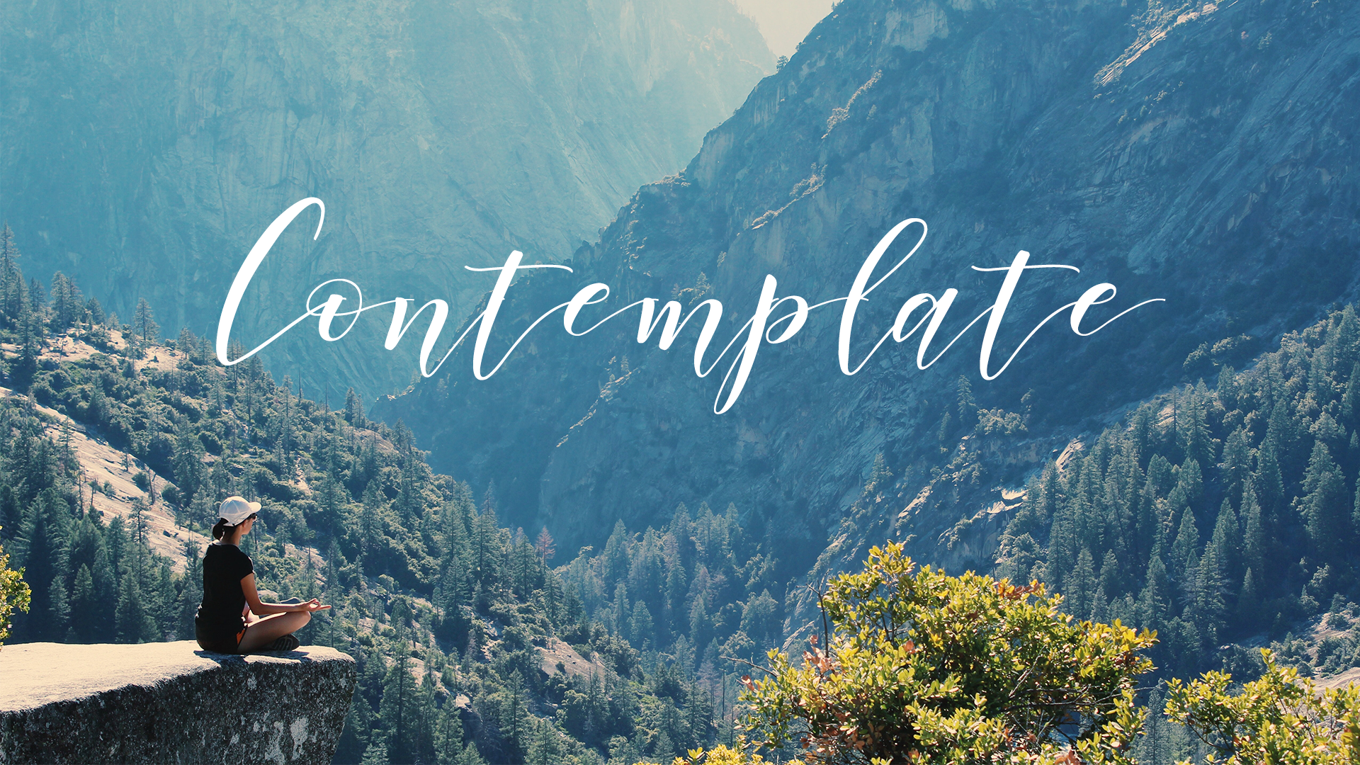 Contemplate
